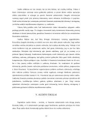 Auditas: svarba ir būtinumas 12 puslapis