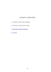 Auditas: svarba ir būtinumas 18 puslapis