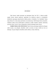 Auditas: svarba ir būtinumas 2 puslapis