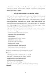 Audito darbo dokumentai 11 puslapis