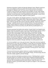 Ausies sandara 3 puslapis