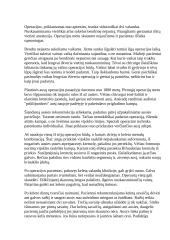 Ausies sandara 4 puslapis