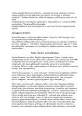 Ausies sandara 7 puslapis