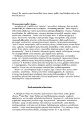 Ausies sandara 10 puslapis