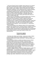 Ausies organas 2 puslapis