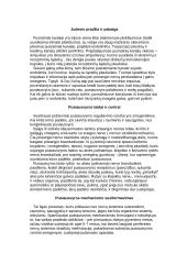 Ausies organas 3 puslapis