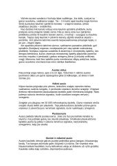 Ausies organas 4 puslapis