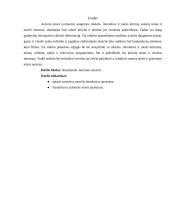 Autorinių sutarčių analizė 2 puslapis