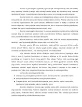 Autorinių sutarčių analizė 11 puslapis