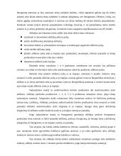 Autorinių sutarčių analizė 13 puslapis