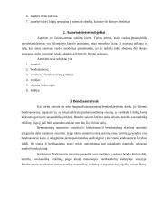 Autorinių sutarčių analizė 4 puslapis
