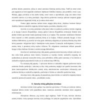 Autorinių sutarčių analizė 8 puslapis