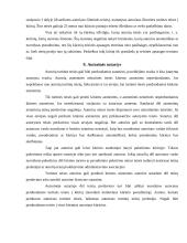 Autorinių sutarčių analizė 10 puslapis