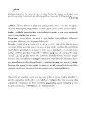 Autorystės fiksavimas, kūrinių registravimas 2 puslapis