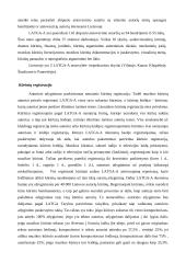 Autorystės fiksavimas, kūrinių registravimas 4 puslapis