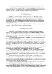 Avininkystė 4 puslapis