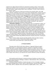 Avininkystė 5 puslapis