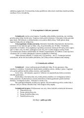 Avininkystė 6 puslapis