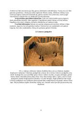 Avininkystė 8 puslapis