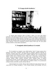 Balio Sruogos gyvenimo kelias 15 puslapis