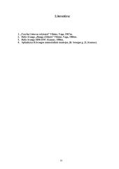 Balio Sruogos gyvenimo kelias 19 puslapis