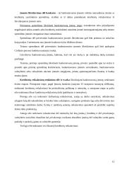 Bankroto bylos iškėlimo teisinės pasekmės 12 puslapis