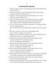 Lietuvoje veikiančių bankų veikla 16 puslapis