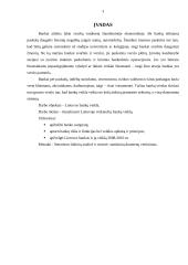 Lietuvoje veikiančių bankų veikla 2 puslapis