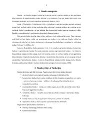 Lietuvoje veikiančių bankų veikla 3 puslapis