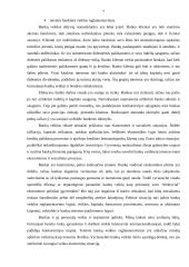 Lietuvoje veikiančių bankų veikla 6 puslapis