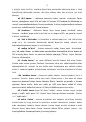 Lietuvoje veikiančių bankų veikla 8 puslapis