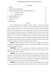 Bendraamžių grupės įtaka vaiko socializacijai 2 puslapis