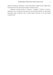 Bendraamžių grupės įtaka vaiko socializacijai 3 puslapis