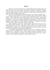 Bendrasis vidaus produktas ir skirtingi jo apskaičiavimo metodai 9 puslapis