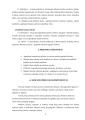 Bendrieji mokymo ir mokymosi klausimai 4 puslapis