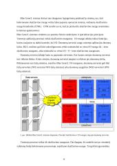 Blue Gene superkompiuteriai 8 puslapis