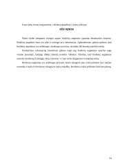 Broilerių auginimas 12 puslapis