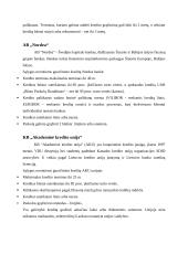 Būsto kreditai Lietuvos bankuose 6 puslapis