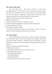 Būsto kreditai Lietuvos bankuose 7 puslapis