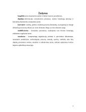 CD ir DVD diskai 3 puslapis