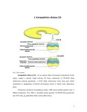 CD ir DVD diskai 5 puslapis