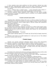 Atomo sandara, cheminės jungtys bei metalai 5 puslapis