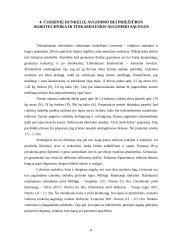 Cukriniai runkeliai 8 puslapis