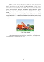 Cukriniai runkeliai 9 puslapis