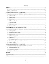 Daiktavardžių galūnių morfonologinė struktūra 2 puslapis