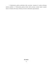 Daiktavardžių galūnių morfonologinė struktūra 13 puslapis