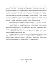 Daiktavardžių galūnių morfonologinė struktūra 14 puslapis