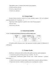 Daiktavardžių galūnių morfonologinė struktūra 7 puslapis