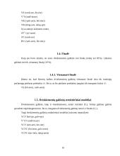 Daiktavardžių galūnių morfonologinė struktūra 10 puslapis