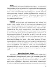 Dalykinis bendravimas Kinijoje 12 puslapis